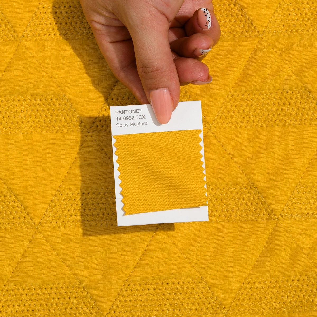 Cotton Swatch Library(TCX) - Image 2